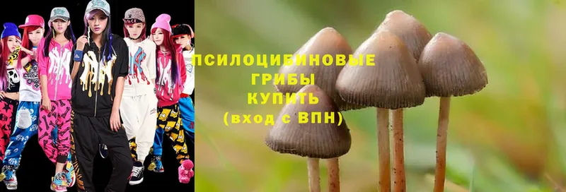 Галлюциногенные грибы Cubensis  сколько стоит  Прохладный 